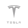 tesla_lgg